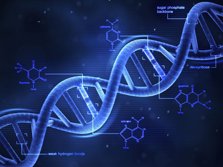 تشخیص بیماری های ژنتیکی با سیستم تست DNA کانن