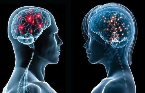 عامل اصلی تفاوت کارکردهای کلیدی مغز در زنان و مردان